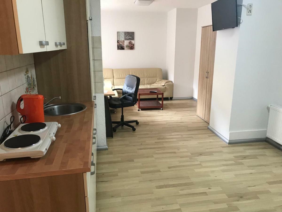 Appartment Mittweida Dış mekan fotoğraf